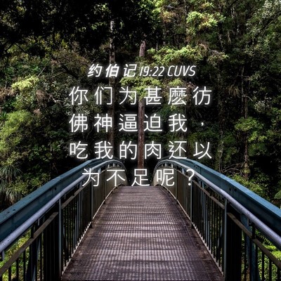 Picture 04 - 约 伯 记 19:22 CUVS - 你 们 为 甚 麽 彷 佛 神 逼 迫 我 ， - Bible Verse Picture
