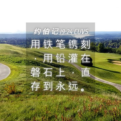 Picture 04 - 约 伯 记 19:24 CUVS - 用 铁 笔 镌 刻 ， 用 铅 灌 在 磐 石 - Bible Verse Picture