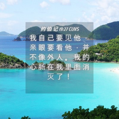Picture 04 - 约 伯 记 19:27 CUVS - 我 自 己 要 见 他 ， 亲 眼 要 看 他 - Bible Verse Picture