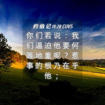 Picture 04 - 约 伯 记 19:28 CUVS - 你 们 若 说 ： 我 们 逼 迫 他 要 何 - Bible Verse Picture