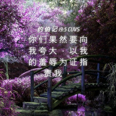 Picture 04 - 约 伯 记 19:5 CUVS - 你 们 果 然 要 向 我 夸 大 ， 以 我 - Bible Verse Picture