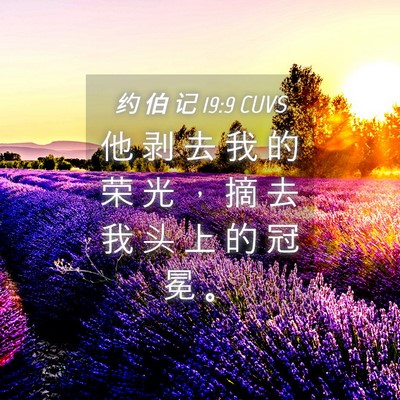 Picture 04 - 约 伯 记 19:9 CUVS - 他 剥 去 我 的 荣 光 ， 摘 去 我 头 - Bible Verse Picture