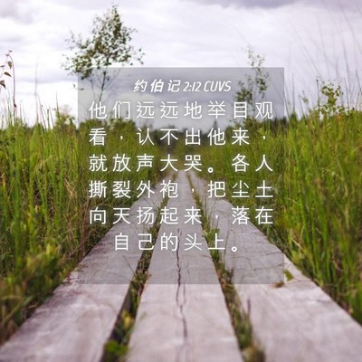 Picture 04 - 约 伯 记 2:12 CUVS - 他 们 远 远 地 举 目 观 看 ， 认 不 - Bible Verse Picture