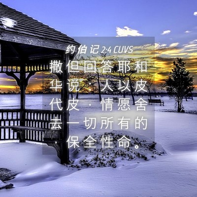 Picture 04 - 约 伯 记 2:4 CUVS - 撒 但 回 答 耶 和 华 说 ： 人 以 皮 - Bible Verse Picture