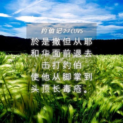 Picture 04 - 约 伯 记 2:7 CUVS - 於 是 撒 但 从 耶 和 华 面 前 退 去 - Bible Verse Picture