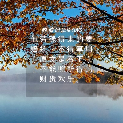 Picture 04 - 约 伯 记 20:18 CUVS - 他 劳 碌 得 来 的 要 赔 还 ， 不 得 - Bible Verse Picture
