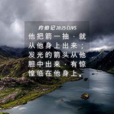 Picture 04 - 约 伯 记 20:25 CUVS - 他 把 箭 一 抽 ， 就 从 他 身 上 出 - Bible Verse Picture