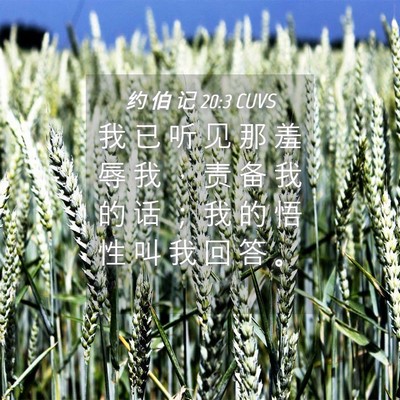 Picture 04 - 约 伯 记 20:3 CUVS - 我 已 听 见 那 羞 辱 我 ， 责 备 我 - Bible Verse Picture