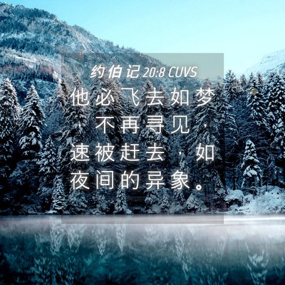Picture 04 - 约 伯 记 20:8 CUVS - 他 必 飞 去 如 梦 ， 不 再 寻 见 ， - Bible Verse Picture