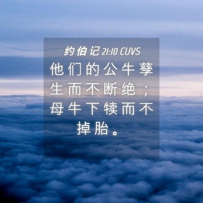 Picture 04 - 约 伯 记 21:10 CUVS - 他 们 的 公 牛 孳 生 而 不 断 绝 ； - Bible Verse Picture