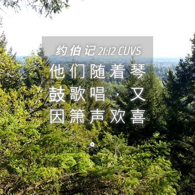 Picture 04 - 约 伯 记 21:12 CUVS - 他 们 随 着 琴 鼓 歌 唱 ， 又 因 箫 - Bible Verse Picture