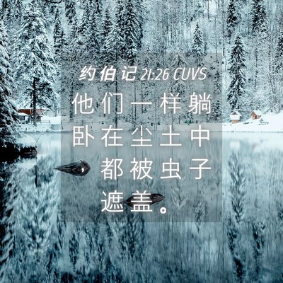 Picture 04 - 约 伯 记 21:26 CUVS - 他 们 一 样 躺 卧 在 尘 土 中 ， 都 - Bible Verse Picture