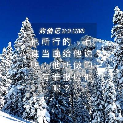 Picture 04 - 约 伯 记 21:31 CUVS - 他 所 行 的 ， 有 谁 当 面 给 他 说 - Bible Verse Picture