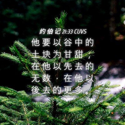 Picture 04 - 约 伯 记 21:33 CUVS - 他 要 以 谷 中 的 土 块 为 甘 甜 ； - Bible Verse Picture
