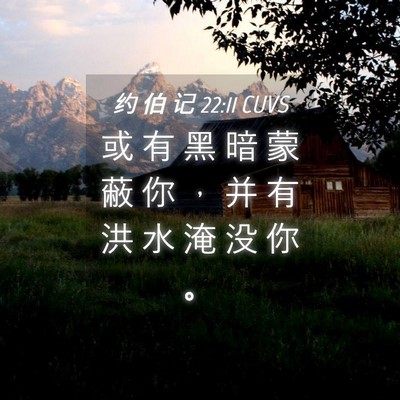 Picture 04 - 约 伯 记 22:11 CUVS - 或 有 黑 暗 蒙 蔽 你 ， 并 有 洪 水 - Bible Verse Picture