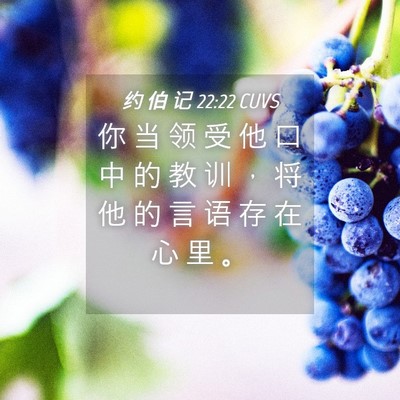Picture 04 - 约 伯 记 22:22 CUVS - 你 当 领 受 他 口 中 的 教 训 ， 将 - Bible Verse Picture