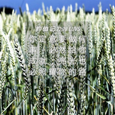 Picture 04 - 约 伯 记 22:28 CUVS - 你 定 意 要 做 何 事 ， 必 然 给 你 - Bible Verse Picture