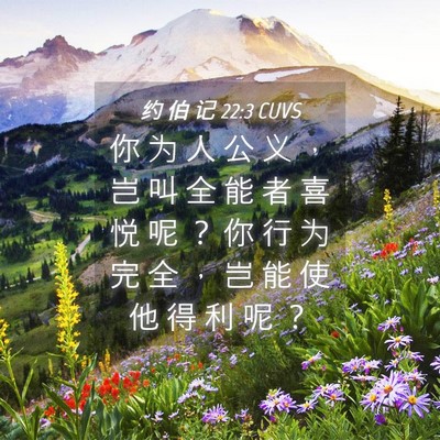 Picture 04 - 约 伯 记 22:3 CUVS - 你 为 人 公 义 ， 岂 叫 全 能 者 喜 - Bible Verse Picture