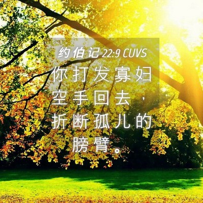 Picture 04 - 约 伯 记 22:9 CUVS - 你 打 发 寡 妇 空 手 回 去 ， 折 断 - Bible Verse Picture