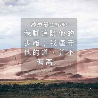 Picture 04 - 约 伯 记 23:11 CUVS - 我 脚 追 随 他 的 步 履 ； 我 谨 守 - Bible Verse Picture