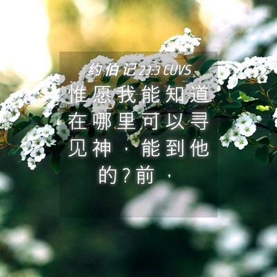 Picture 04 - 约 伯 记 23:3 CUVS - 惟 愿 我 能 知 道 在 哪 里 可 以 寻 - Bible Verse Picture