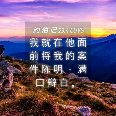 Picture 04 - 约 伯 记 23:4 CUVS - 我 就 在 他 面 前 将 我 的 案 件 陈 - Bible Verse Picture