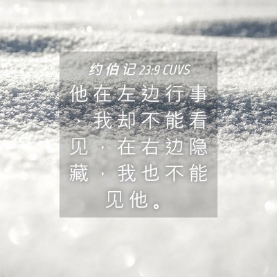 Picture 04 - 约 伯 记 23:9 CUVS - 他 在 左 边 行 事 ， 我 却 不 能 看 - Bible Verse Picture