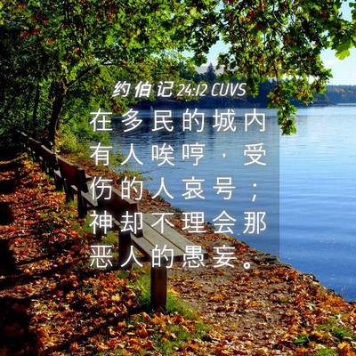 Picture 04 - 约 伯 记 24:12 CUVS - 在 多 民 的 城 内 有 人 唉 哼 ， 受 - Bible Verse Picture
