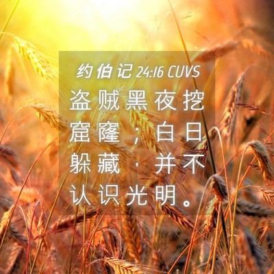 Picture 04 - 约 伯 记 24:16 CUVS - 盗 贼 黑 夜 挖 窟 窿 ； 白 日 躲 藏 - Bible Verse Picture