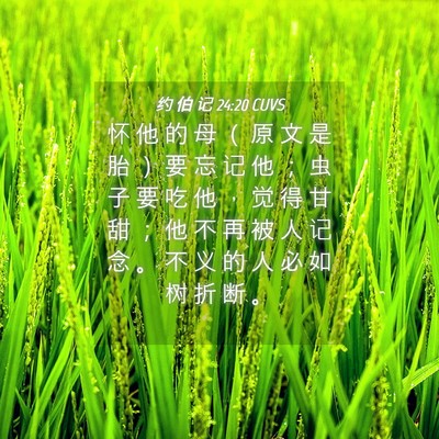 Picture 04 - 约 伯 记 24:20 CUVS - 怀 他 的 母 （ 原 文 是 胎 ） 要 忘 - Bible Verse Picture