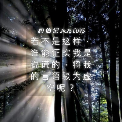 Picture 04 - 约 伯 记 24:25 CUVS - 若 不 是 这 样 ， 谁 能 证 实 我 是 - Bible Verse Picture