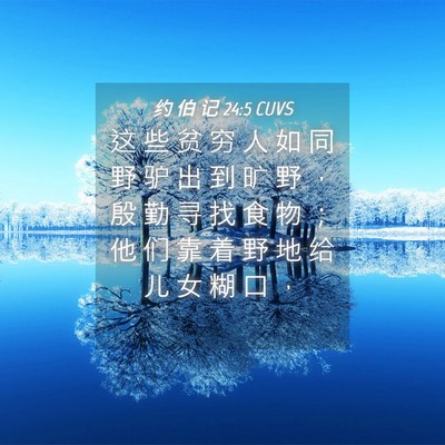 Picture 04 - 约 伯 记 24:5 CUVS - 这 些 贫 穷 人 如 同 野 驴 出 到 旷 - Bible Verse Picture