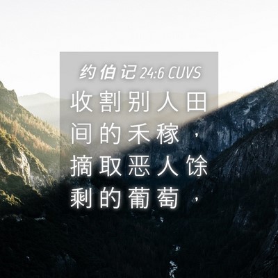 Picture 04 - 约 伯 记 24:6 CUVS - 收 割 别 人 田 间 的 禾 稼 ， 摘 取 - Bible Verse Picture