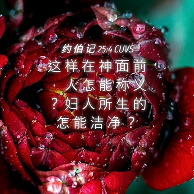 Picture 04 - 约 伯 记 25:4 CUVS - 这 样 在 神 面 前 ， 人 怎 能 称 义 - Bible Verse Picture