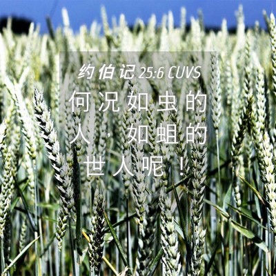 Picture 04 - 约 伯 记 25:6 CUVS - 何 况 如 虫 的 人 ， 如 蛆 的 世 人 - Bible Verse Picture