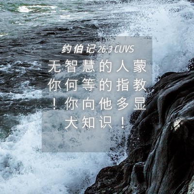 Picture 04 - 约 伯 记 26:3 CUVS - 无 智 慧 的 人 蒙 你 何 等 的 指 教 - Bible Verse Picture