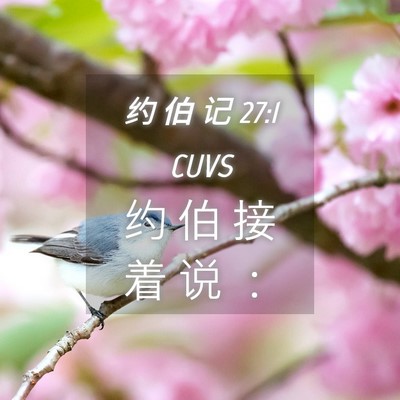 Picture 04 - 约 伯 记 27:1 CUVS - 约 伯 接 着 说 - Bible Verse Picture