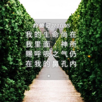 Picture 04 - 约 伯 记 27:3 CUVS - 我 的 生 命 尚 在 我 里 面 ； 神 所 - Bible Verse Picture