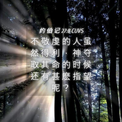 Picture 04 - 约 伯 记 27:8 CUVS - 不 敬 虔 的 人 虽 然 得 利 ， 神 夺 - Bible Verse Picture
