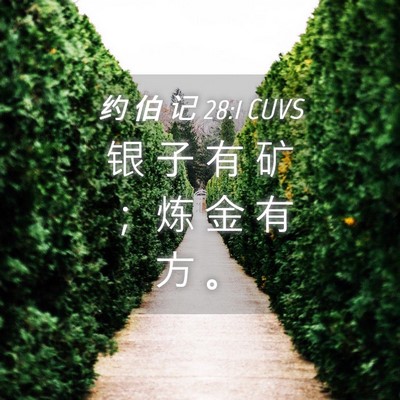Picture 04 - 约 伯 记 28:1 CUVS - 银 子 有 矿 ； 炼 金 有 方 - Bible Verse Picture