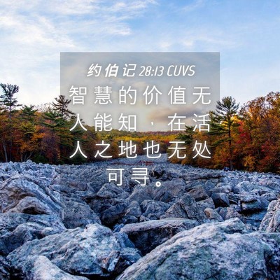 Picture 04 - 约 伯 记 28:13 CUVS - 智 慧 的 价 值 无 人 能 知 ， 在 活 - Bible Verse Picture