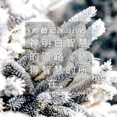 Picture 04 - 约 伯 记 28:23 CUVS - 神 明 白 智 慧 的 道 路 ， 晓 得 智 - Bible Verse Picture