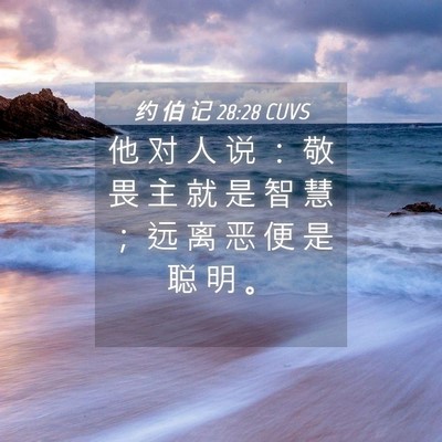 Picture 04 - 约 伯 记 28:28 CUVS - 他 对 人 说 ： 敬 畏 主 就 是 智 慧 - Bible Verse Picture