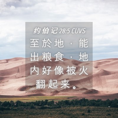 Picture 04 - 约 伯 记 28:5 CUVS - 至 於 地 ， 能 出 粮 食 ， 地 内 好 - Bible Verse Picture