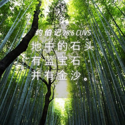 Picture 04 - 约 伯 记 28:6 CUVS - 地 中 的 石 头 有 蓝 宝 石 ， 并 有 - Bible Verse Picture