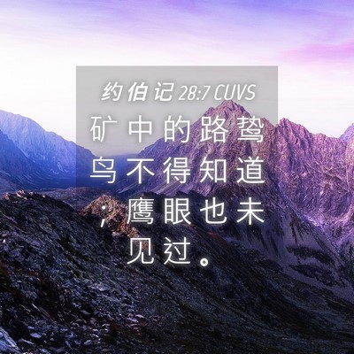 Picture 04 - 约 伯 记 28:7 CUVS - 矿 中 的 路 鸷 鸟 不 得 知 道 ； 鹰 - Bible Verse Picture