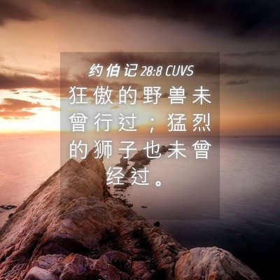Picture 04 - 约 伯 记 28:8 CUVS - 狂 傲 的 野 兽 未 曾 行 过 ； 猛 烈 - Bible Verse Picture