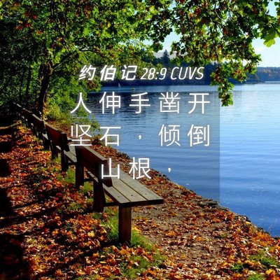 Picture 04 - 约 伯 记 28:9 CUVS - 人 伸 手 凿 开 坚 石 ， 倾 倒 山 根 - Bible Verse Picture