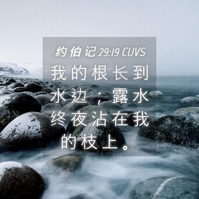 Picture 04 - 约 伯 记 29:19 CUVS - 我 的 根 长 到 水 边 ； 露 水 终 夜 - Bible Verse Picture