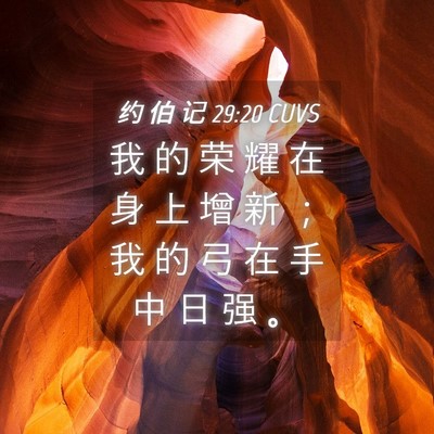 Picture 04 - 约 伯 记 29:20 CUVS - 我 的 荣 耀 在 身 上 增 新 ； 我 的 - Bible Verse Picture